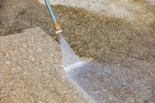 Best Driveway Pressure Washing  in Palermo, NJ